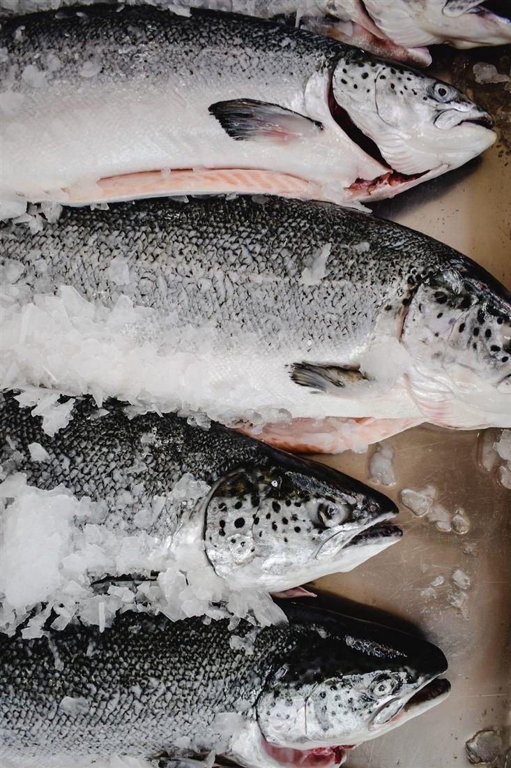 Poisson gras (saumon), un des aliments les plus riches en vitamine D